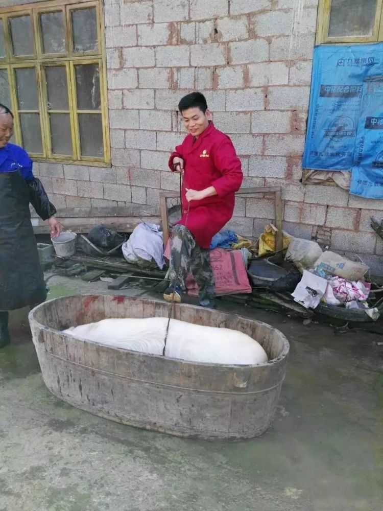 在石门,有一种乡愁,叫"杀猪饭"