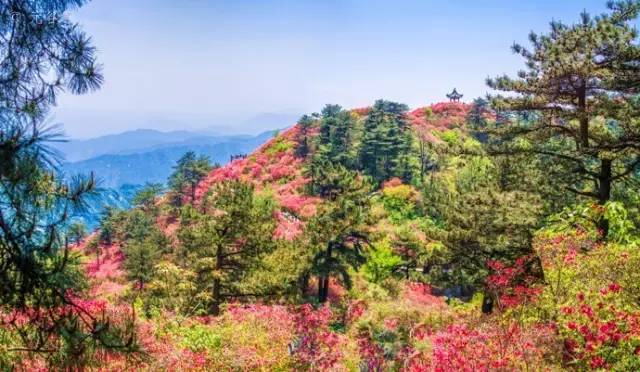 不必黄鹤楼，不必武大樱花，湖北这25处美景地，你去过多少？