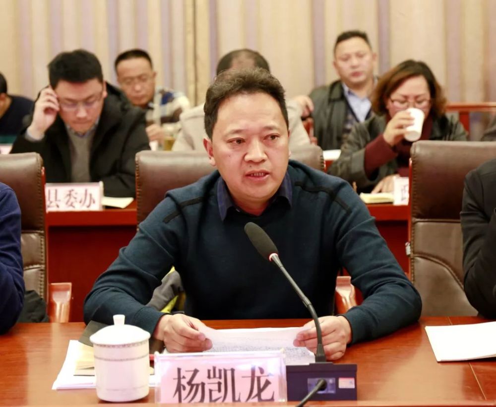 县委常委,常务副县长杨凯龙在反馈会煞ⅱ言