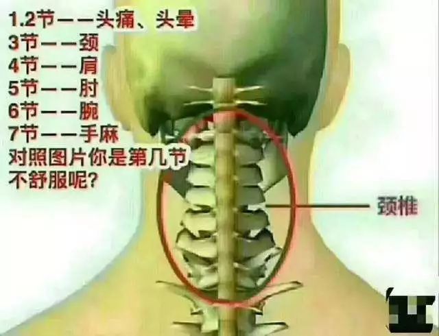 二,检查颈椎不舒服的部位 低头稍微低一点,从颈椎最突出的部位,也就