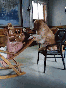 搞笑gif图:这是一把有故事的椅子,给你一张图,请自行体会