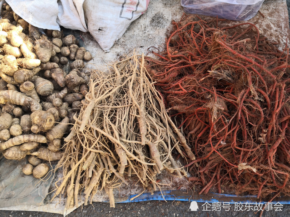 这边是芋头和一些山上的药材.
