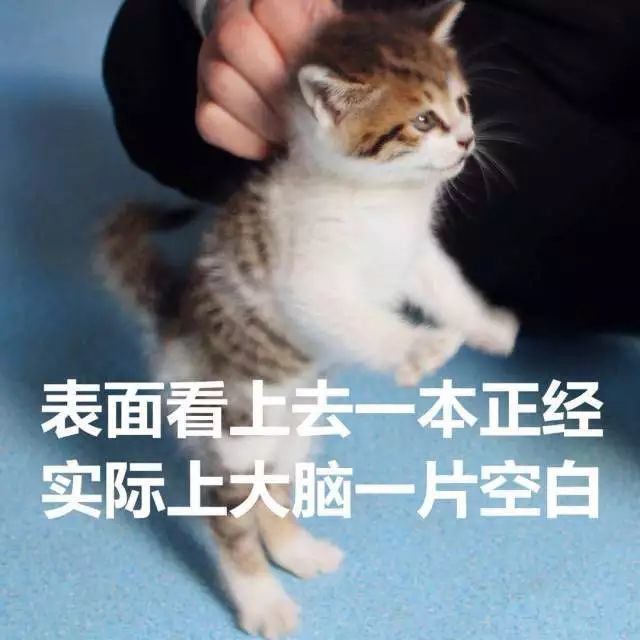 有没有人告诉过你,你认真的样子很假!