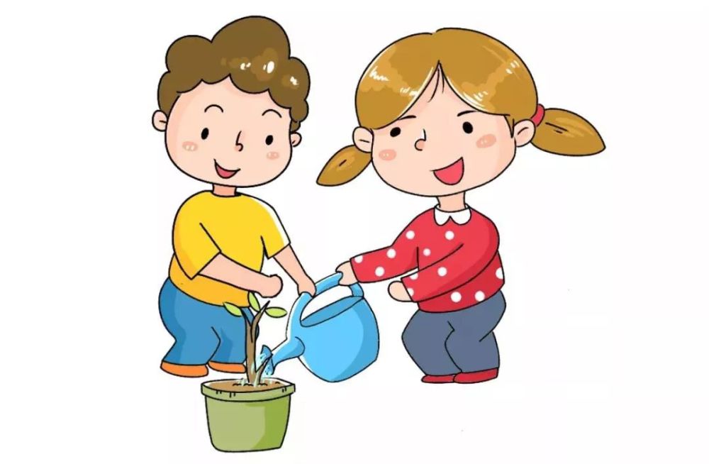 让小朋友实际操作浇水,施肥,观察植物的变化