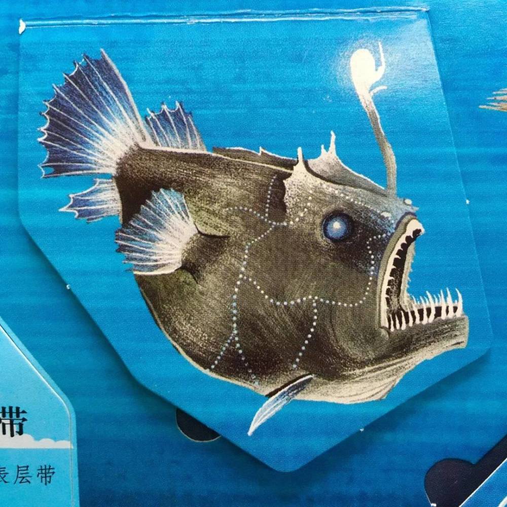 《揭秘海洋》中的深海动物鮟鱇鱼