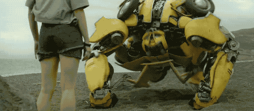 周末研学,来寻找一只有思想的大黄蜂!