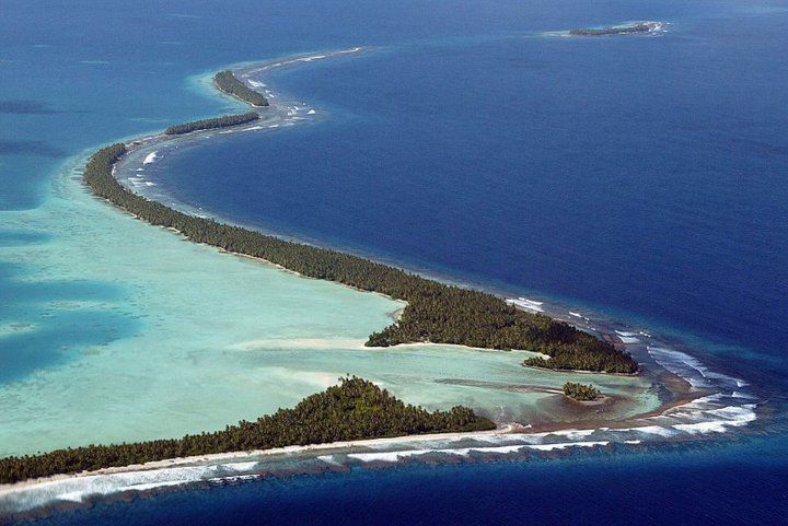 世界上面积最大的海,相当我国面积50,其内海洋生物十分丰富
