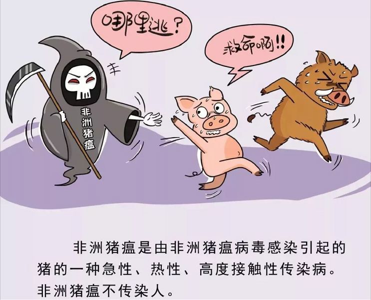 咸宁猪肉安全吗?看这里!