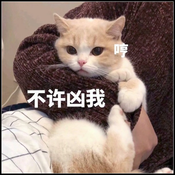 表情包:看见我额头的666了吗