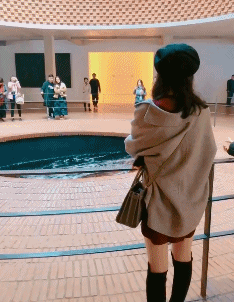 内涵段子:会的还真不少,那去搬砖吧