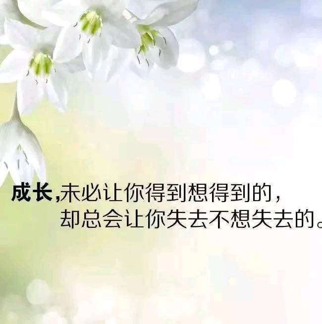 鼓励自己的说说心情短语,句句积极奋进,奋斗的人生不遗憾