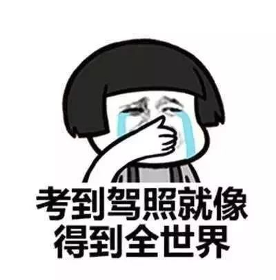 理论考试通过后.