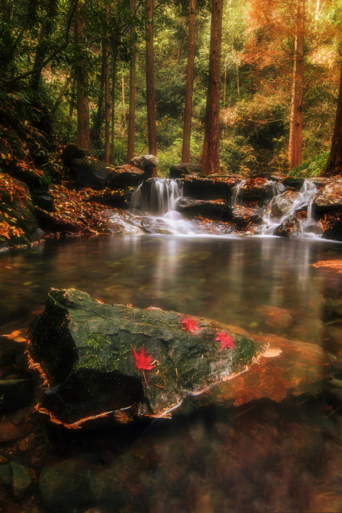 高山流水,几片枫叶,是一个让人静下心享受大自然的好地方.