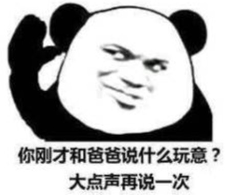 沙雕熊猫头表情包:聊着聊着就不回了,坟头信号不好了是吧?