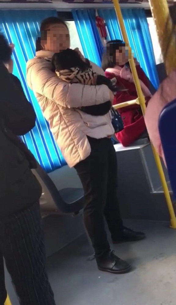 长沙女子违规抱狗上公交,司机劝说无果拒绝开车!全车十多人换乘