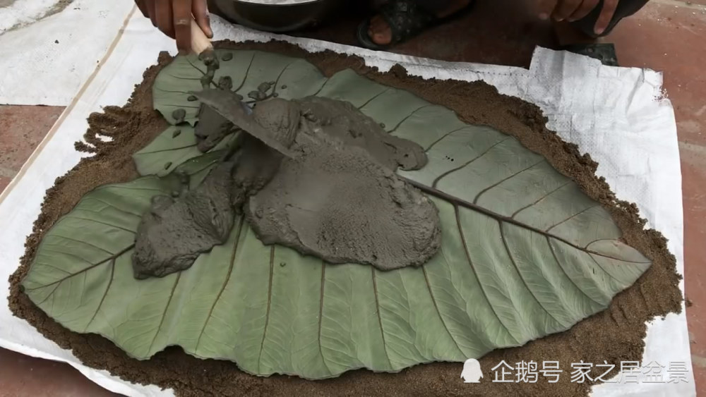 叶子上面铺水泥 一开始不知道在做什么 成品出来后我彻底服了 看点快报