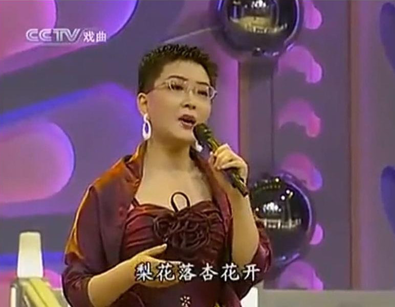 王珮瑜早年女装照曝光,差别大到不敢认,网友:这波冲击