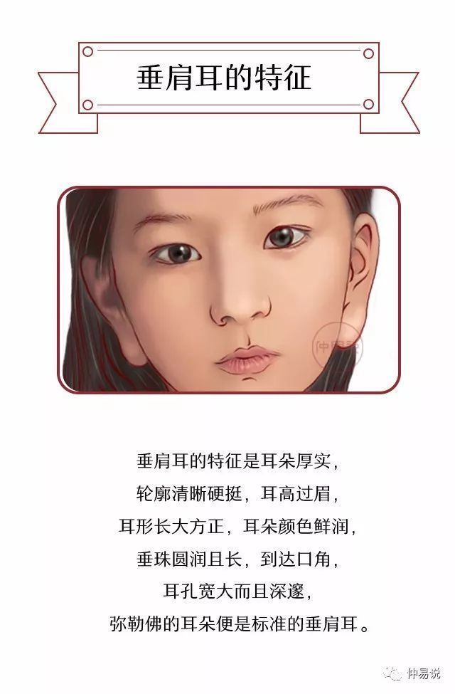 垂肩耳的人一生富贵,婚姻美满!面相
