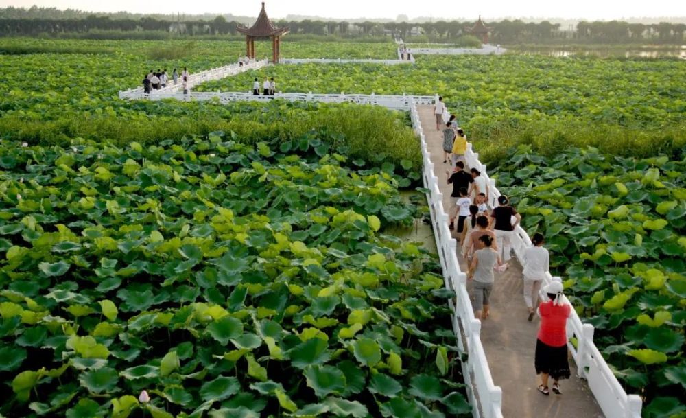 涟水今世缘旅游景区