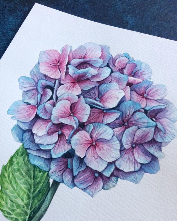 手绘艺术:立体绣球花,美妙的水彩画,你被吸引到了吗?
