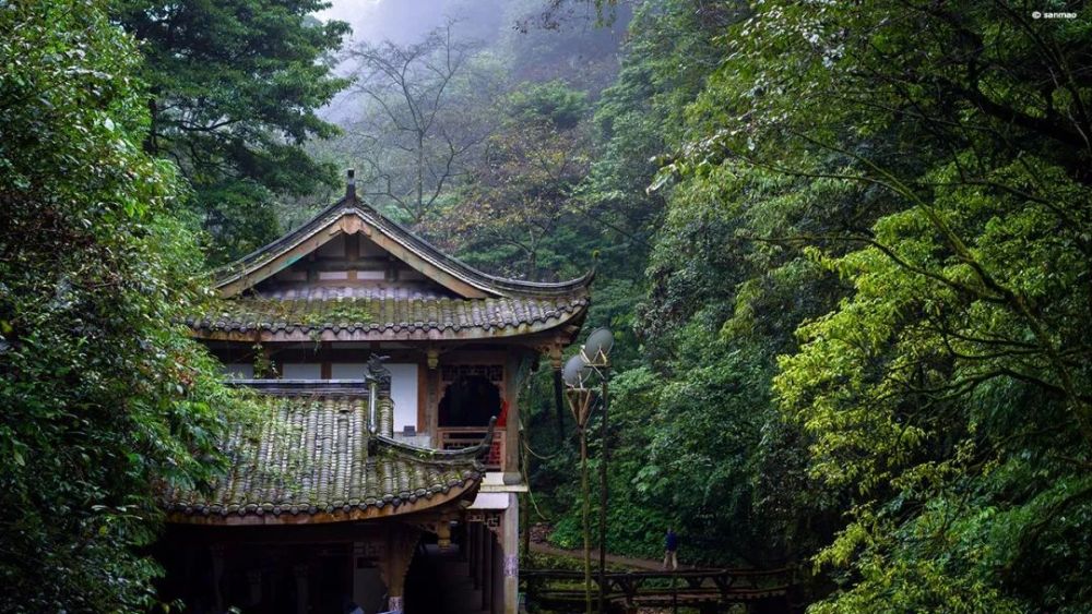 青城后山的雾中风景