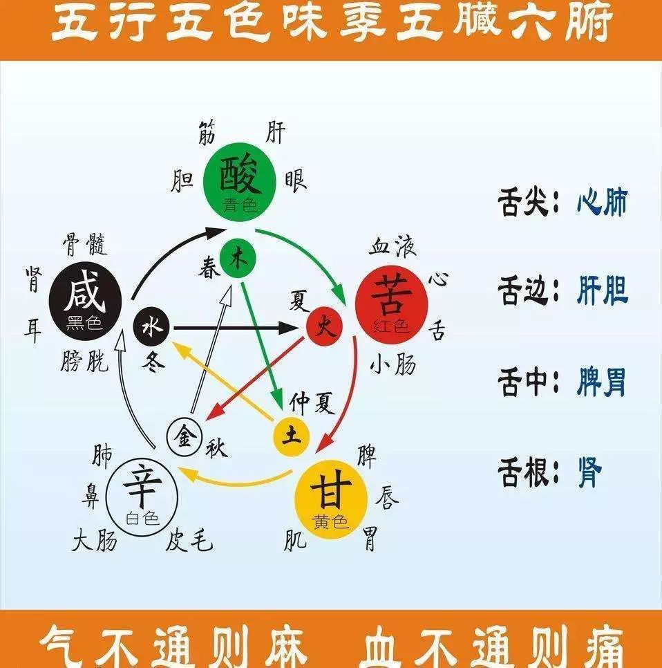 二,胃的五行属性