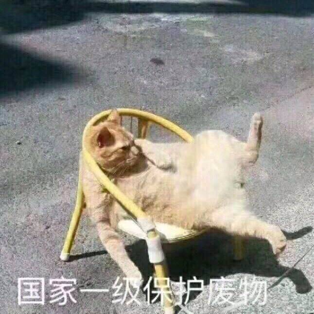 表情包:这就是生活,无情,无耻,无理取闹的生活