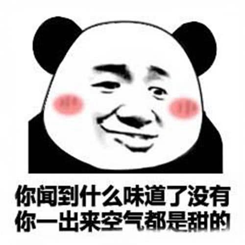 熊猫,表情包,沙雕,搞笑,撩妹