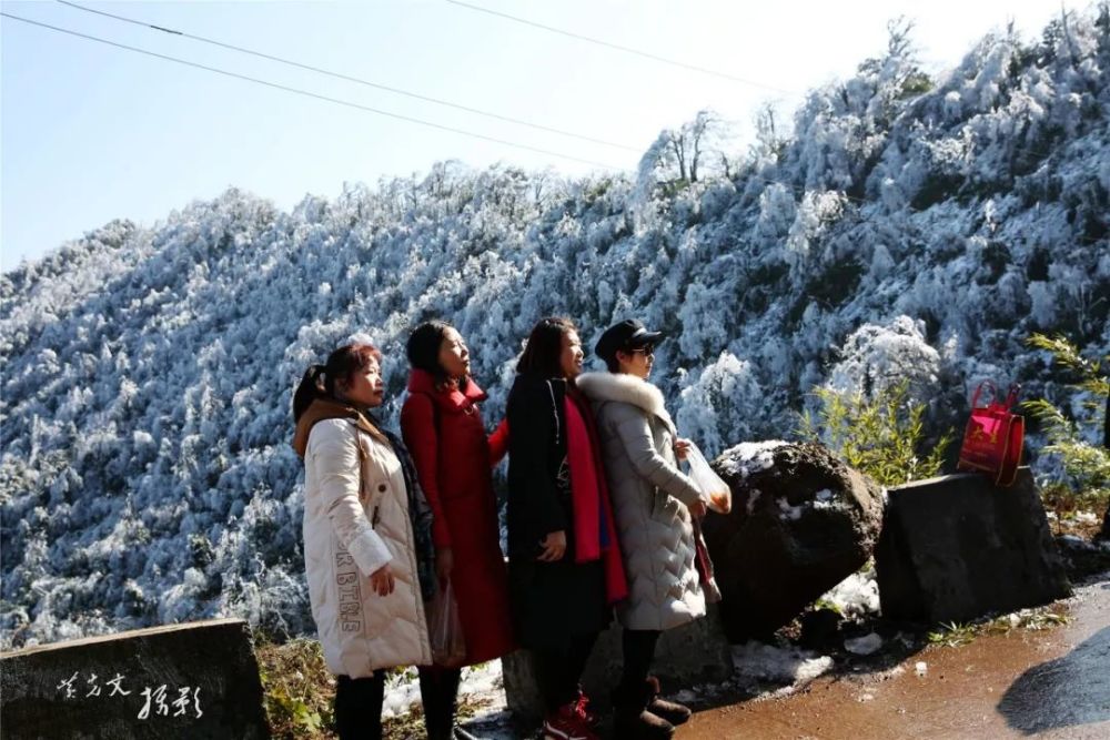 筠连大雪山的一场雪把大家的魂都"勾"起走了!