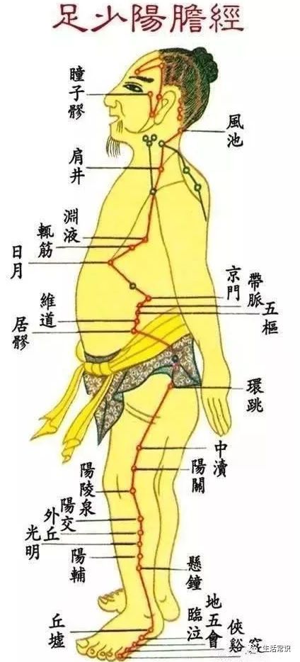 会赫然发现,足少阳胆经是一条很长的经络,从足部延伸到头部,所涉及的