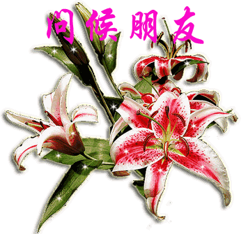早上好,最新聊天不用打字的动态祝福图片