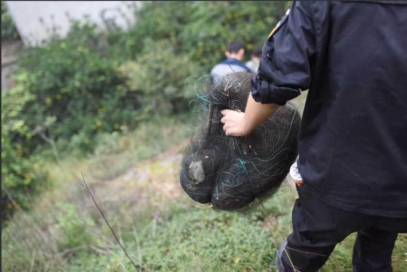 浙江现捕鸟网 多得令拆网人失去信心