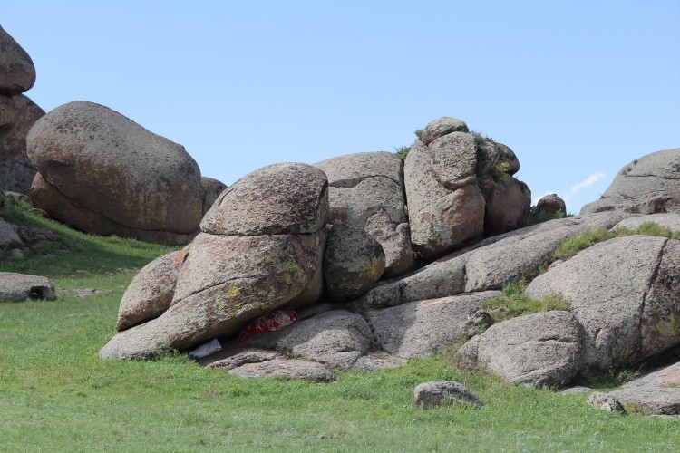 动物造型的奇石,让人感叹大自然的神奇,网友:p图的吧!