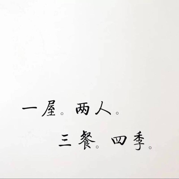 感人至深的文字背景图:我想认真谈场恋爱,从你开始,没