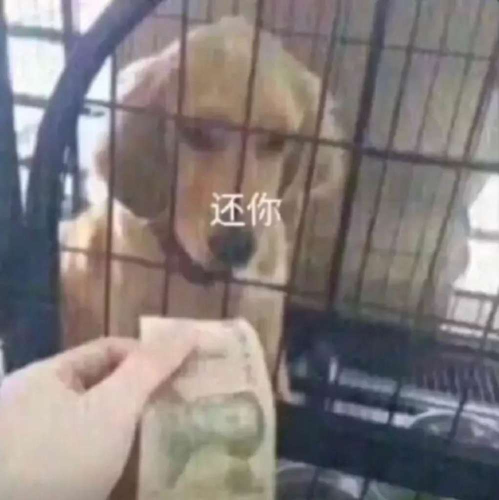 抖音火到爆的"还钱"表情包搞笑段子,过年清账的人赶紧