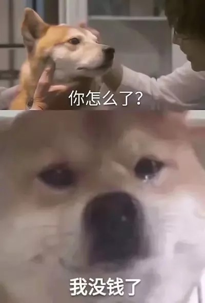 抖音火到爆的"还钱"表情包搞笑段子,过年清账的人赶紧