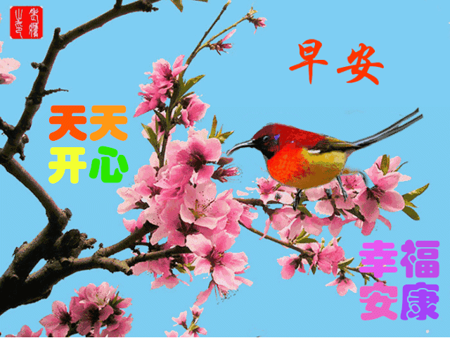 3月7日早上好鲜花动态图片,早晨好动态表情图片大全