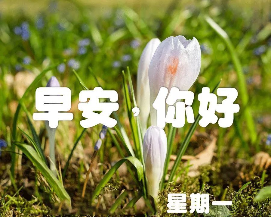 睁开双眼,新的一周又开始了,周一早安!