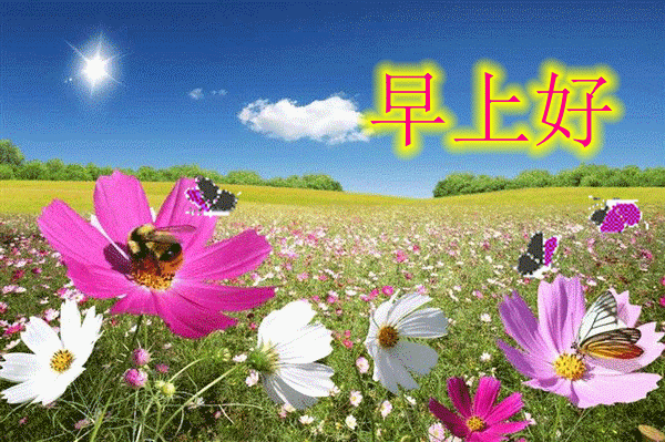 最美早上好问候语和关心话 清晨好群发朋友圈的动态表情图片大全