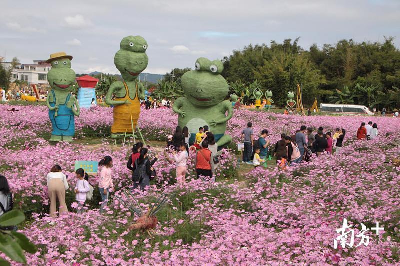 地址:广东省广州市从化区鳌头镇西塘村