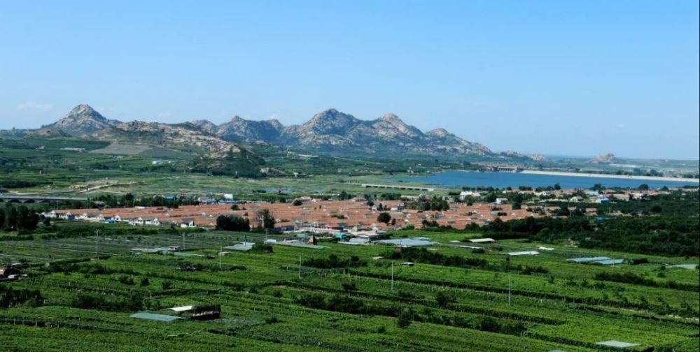 2018年度青岛市乡村旅游扶持奖励单位名单,平度市大泽山镇入选青岛市