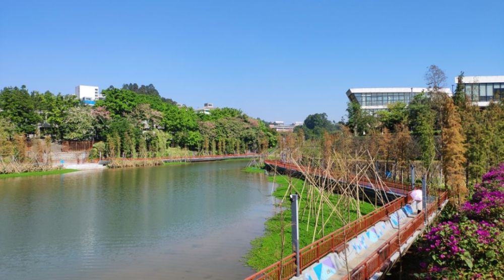 佛山,狮山镇,顺峰山公园,南海区,章佳琳,曹欣仪,南海大学城,叶分裂