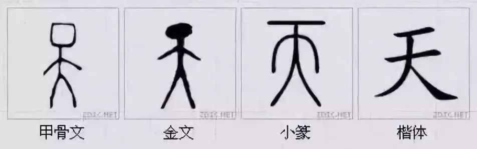 汉字,甲骨文