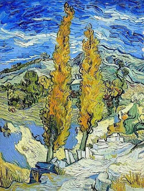 梵高是抽象派吗 腾讯网