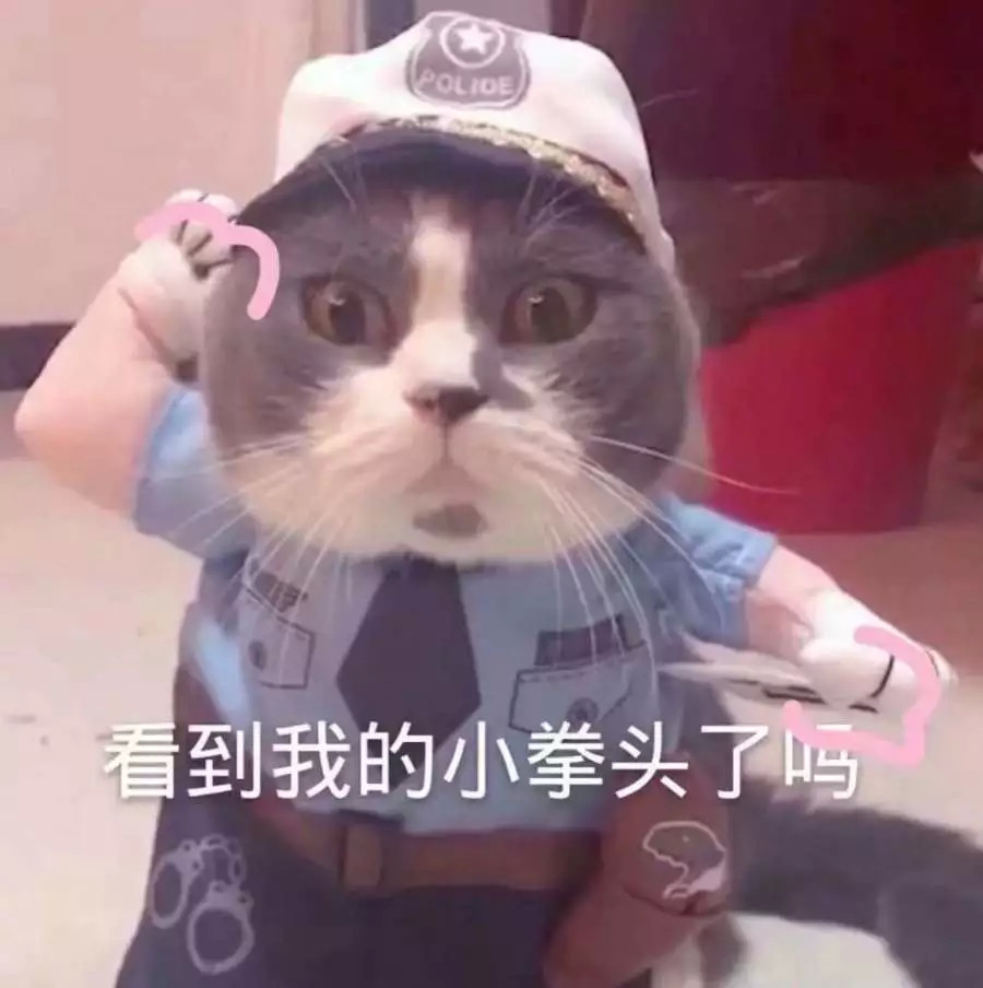 超萌·可爱到爆的表情包:江湖可不好混,快到我的被窝里来吧