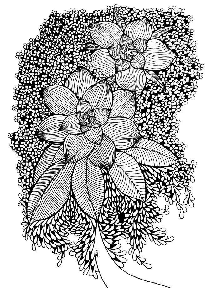 把线描画成这样,你才有资格发朋友圈,才有人给你点赞!