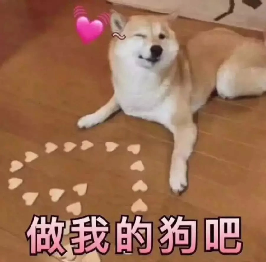 很"骚气"的撩妹表情包:我如此帅气,你爱上我了吗