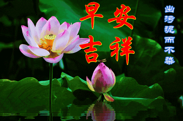 立夏曲谱_立夏简笔画(2)