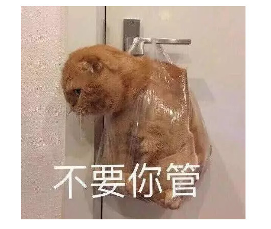 表情包:你不动,我不动,一动不动是王八!