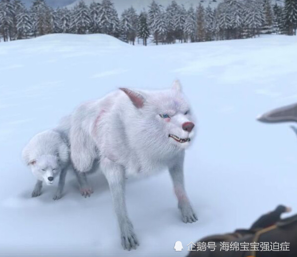 雪鹰,雪鹰领主,东伯青石,动漫,动画